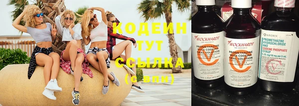 дмт Пересвет