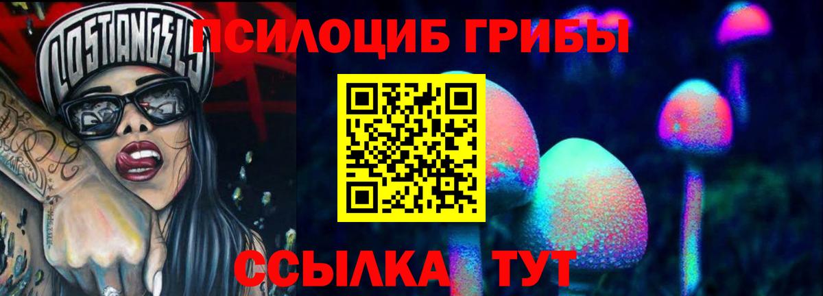 Галлюциногенные грибы мухоморы  Псилоцибиновые грибы Magic Shrooms  закладки  Вход с VPN  Благовещенск 